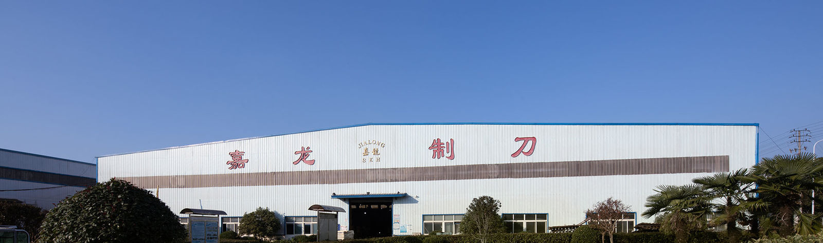 Porcellana Anhui Jialong Knives Manufacturing Co., Ltd. Profilo aziendale 
